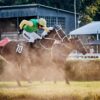 Świat dyskutuje o zakazie używania bata na wyścigach konnych
