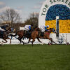 Fundacja Retraining of Racehorses, czyli jak brytyjskie środowisko wyścigowe dba o losy koni po karierach wyścigowych