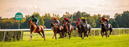 Fundacja Retraining of Racehorses, czyli jak brytyjskie środowisko wyścigowe dba o losy koni po karierach wyścigowych